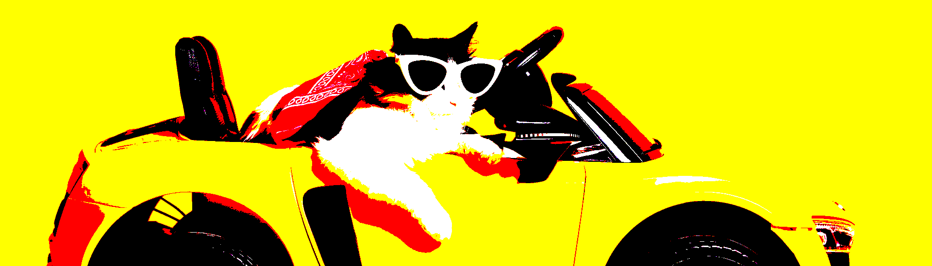 artist cover
