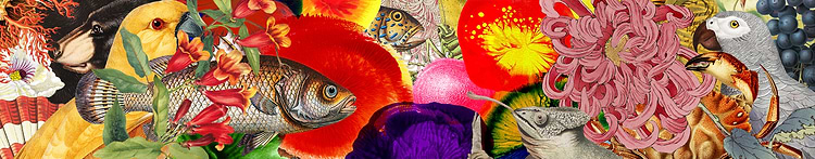 artist cover