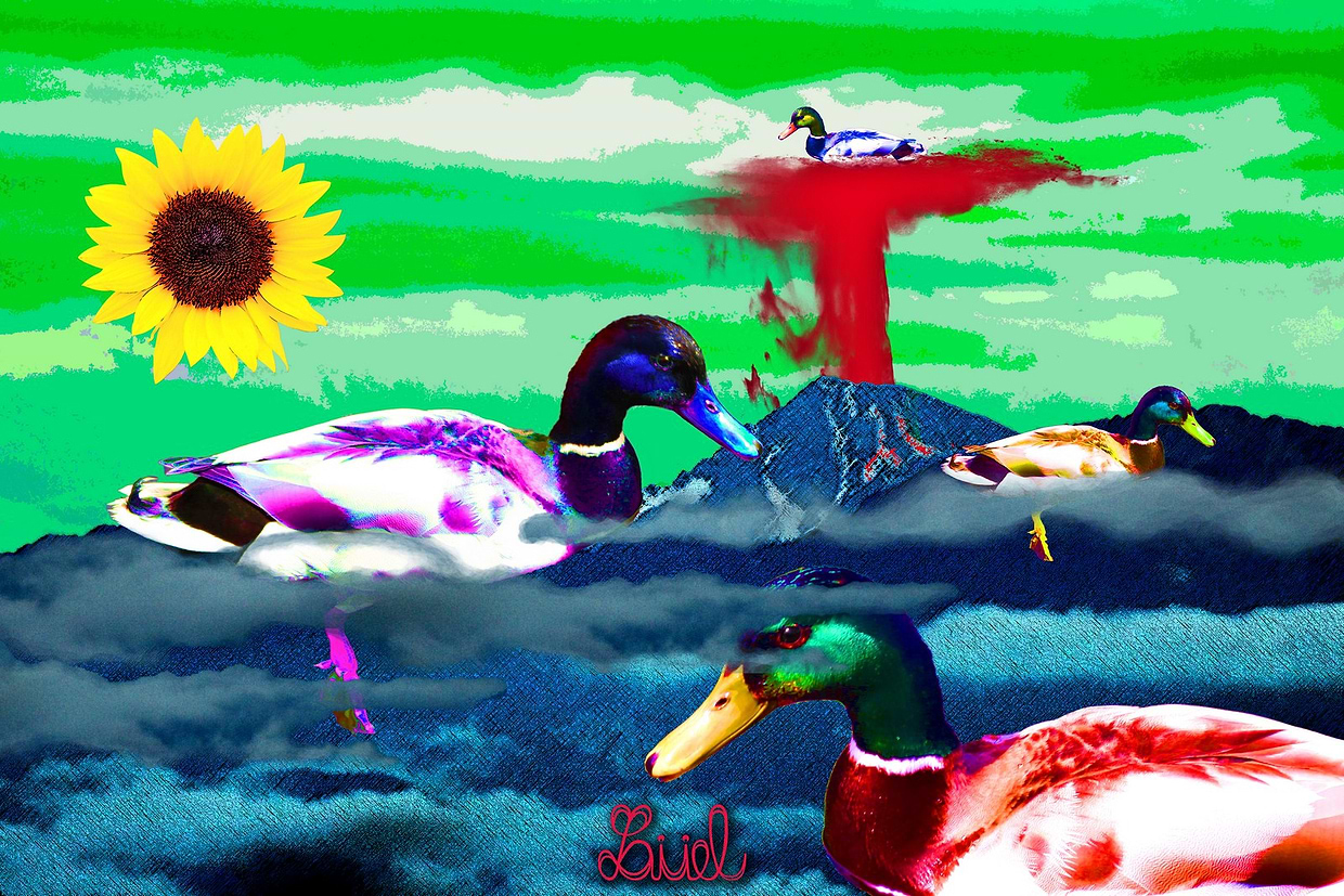artist cover