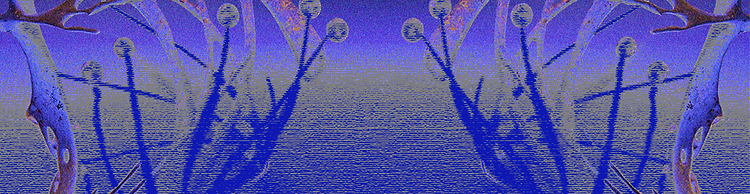 artist cover