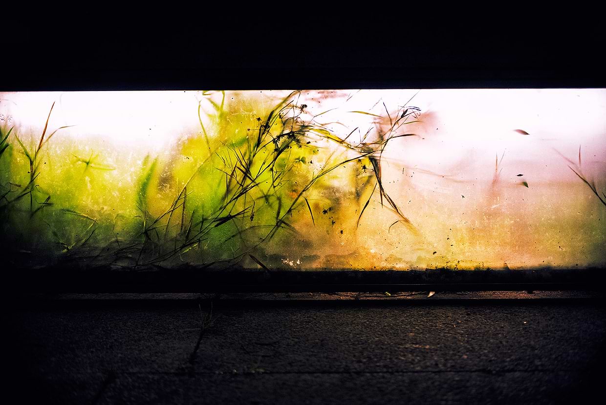 artist cover