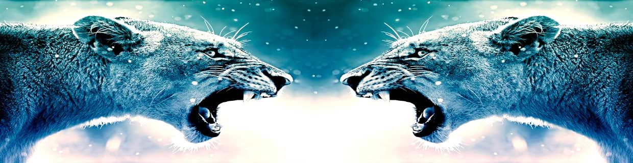 artist cover
