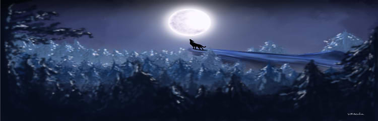artist cover