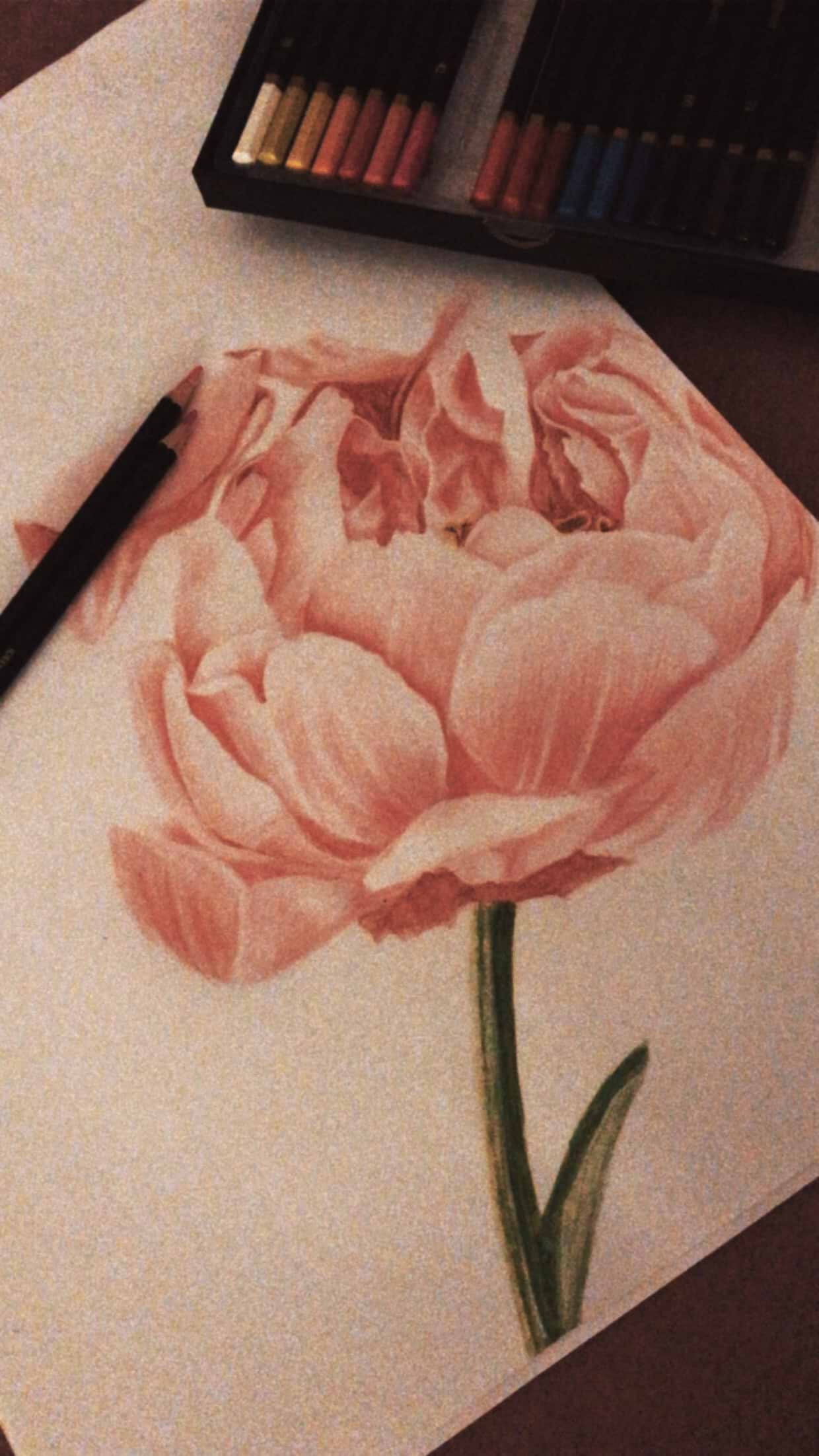 artist cover