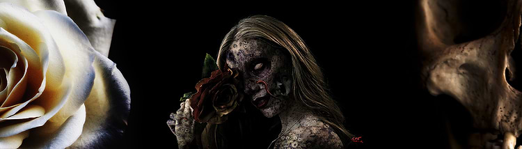 artist cover
