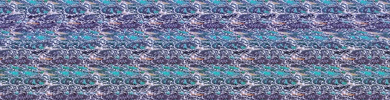 artist cover