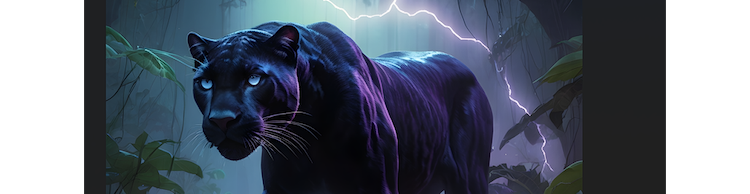 artist cover