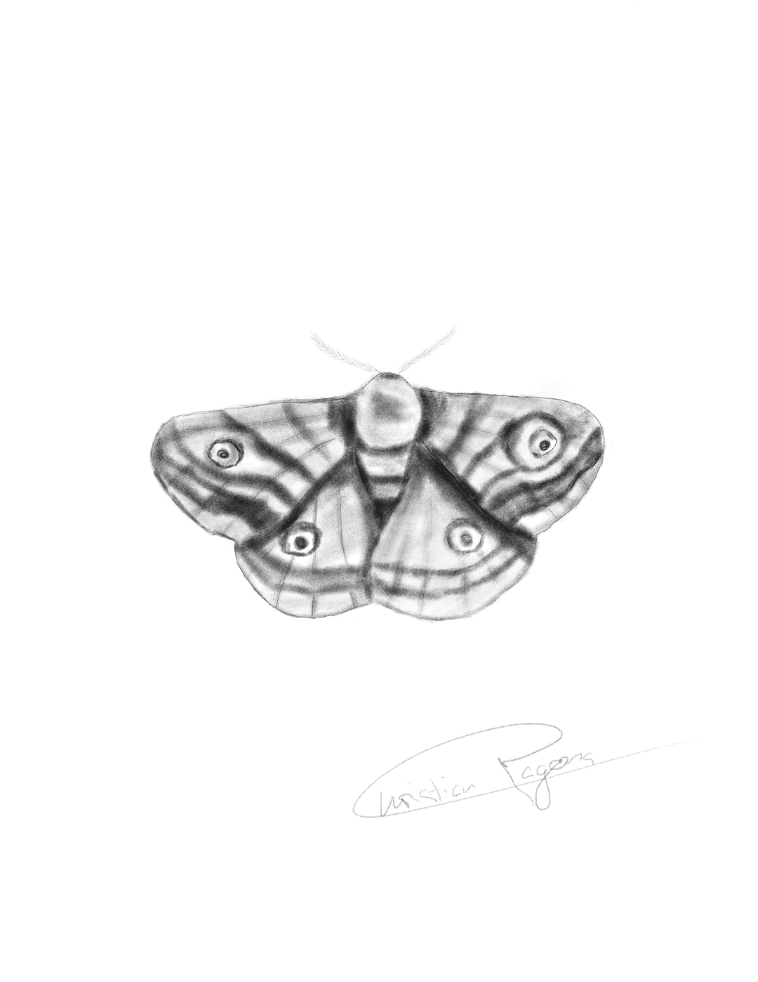 artist cover