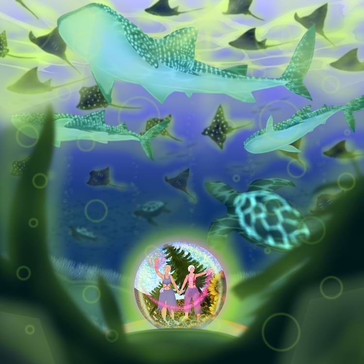 artist cover