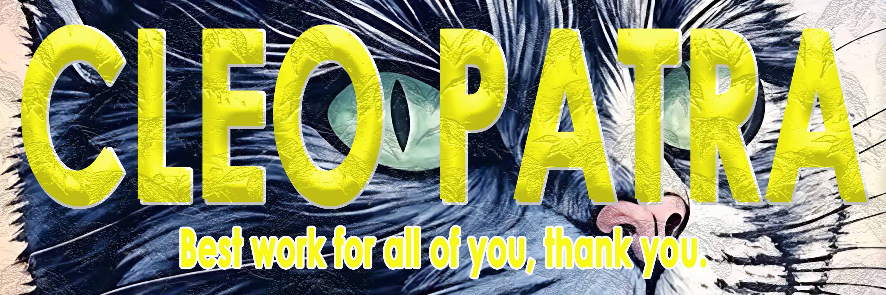 artist cover