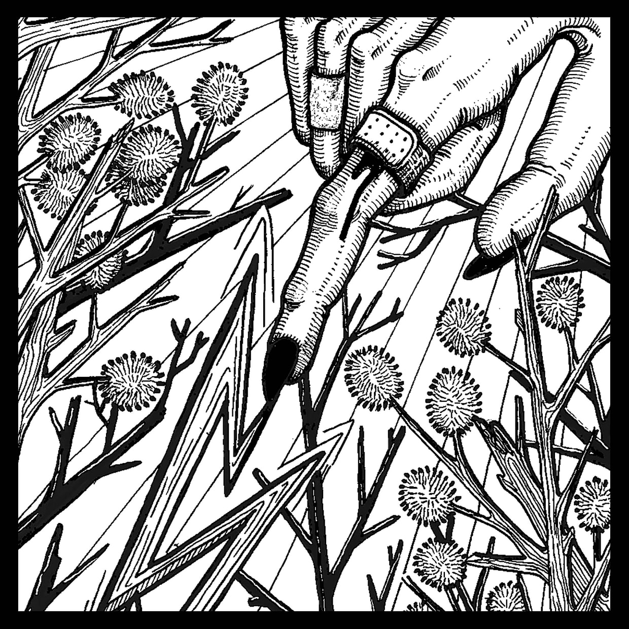 artist cover