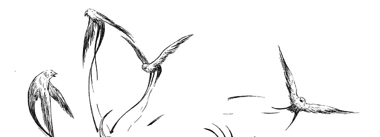 artist cover