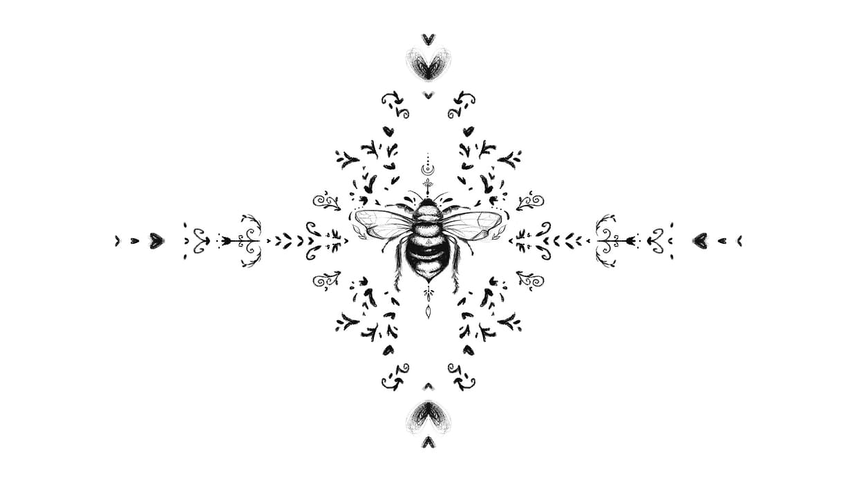 artist cover