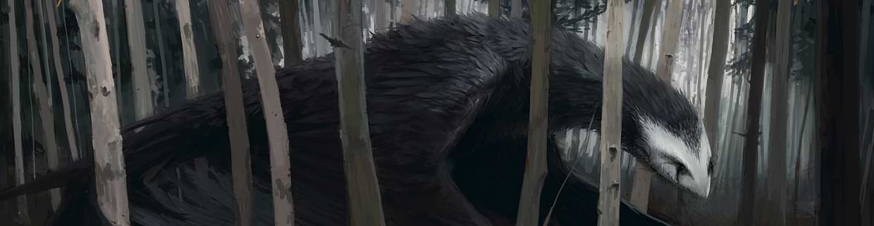 artist cover