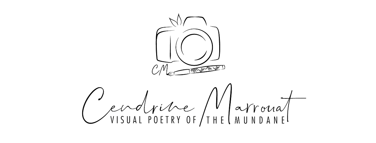 artist cover