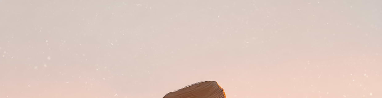 artist cover