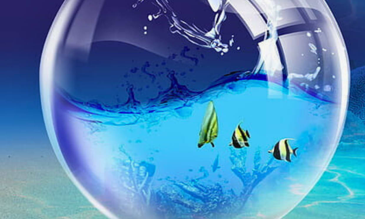 artist cover