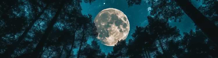 artist cover