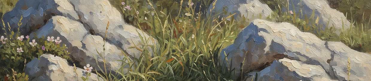artist cover