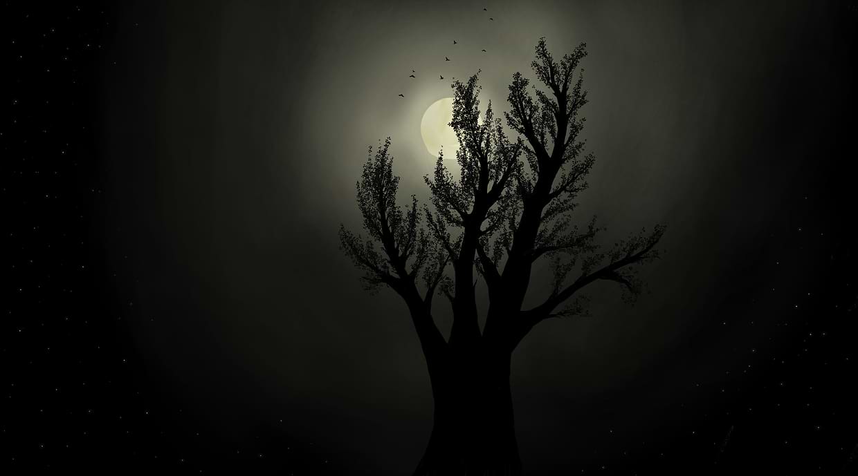 artist cover