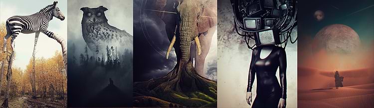 artist cover