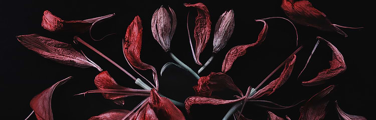 artist cover
