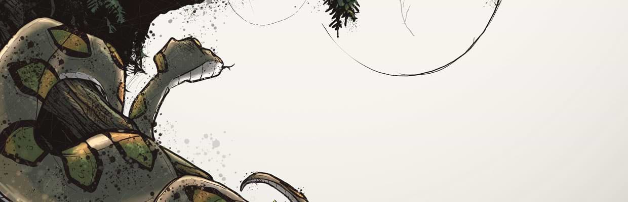artist cover
