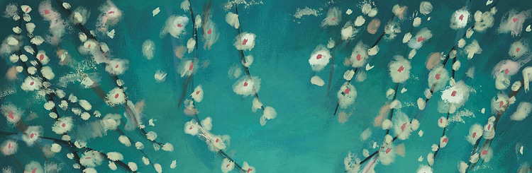 artist cover