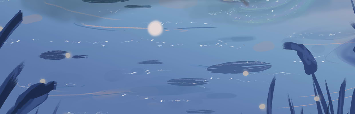 artist cover