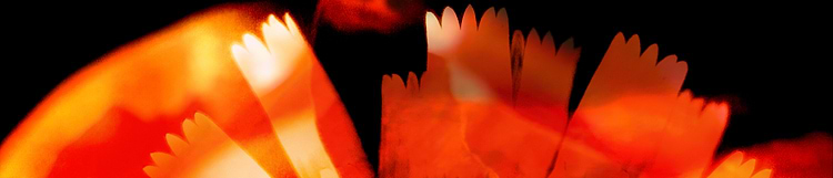 artist cover