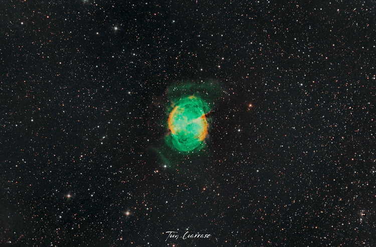artist cover