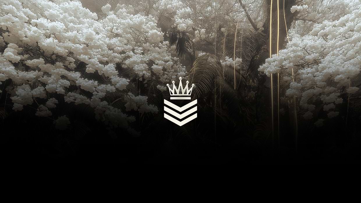 artist cover