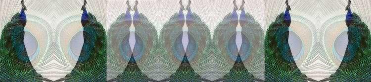 artist cover