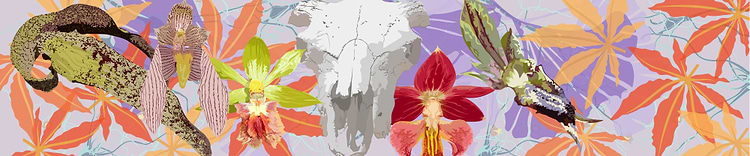 artist cover