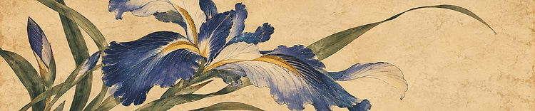 artist cover